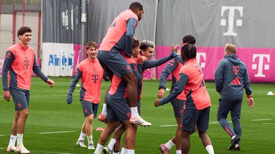 之星更新球, OZB 之星更新球, OZB